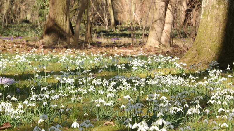 Schulgarten in Braunschweig