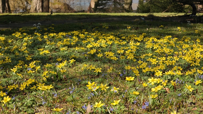 Schulgarten in Braunschweig