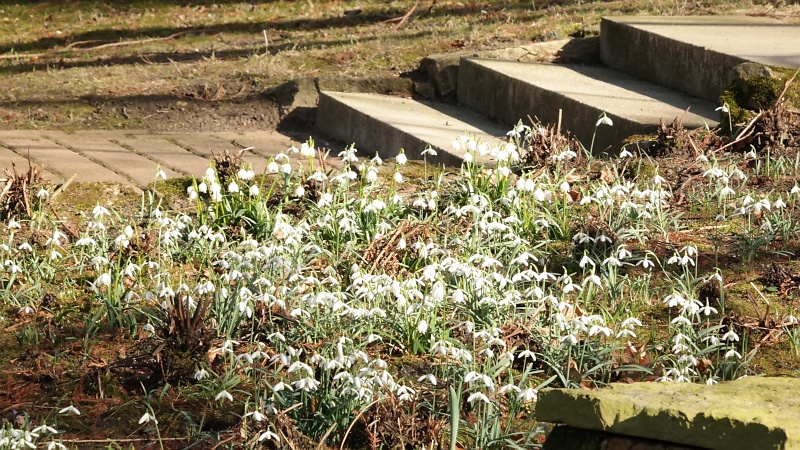 Schulgarten in Braunschweig