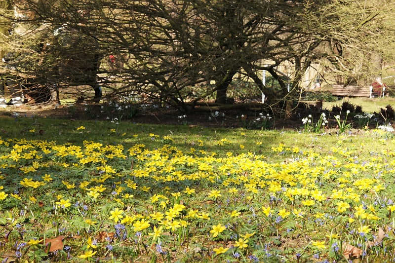 Schulgarten in Braunschweig