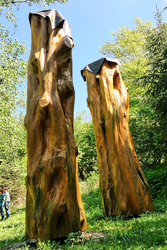 Arboretum (Weltwald) bei Bad Grund im Harz