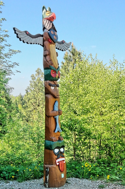 Arboretum (Weltwald) bei Bad Grund im Harz