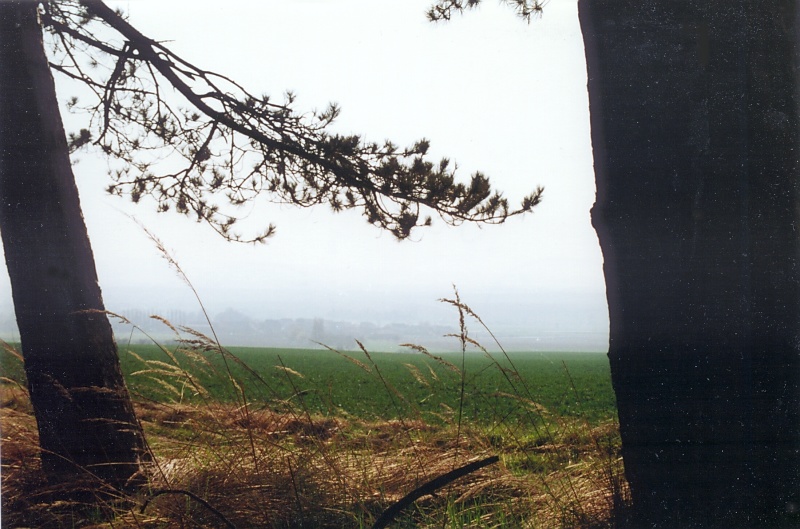 Im und um den Elm